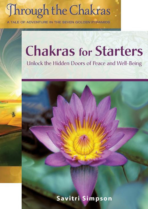 Chakras for Starters book cover